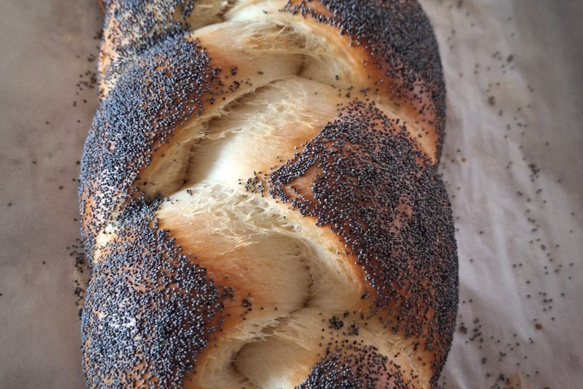 A close-up of a challah braid crusted with poppy seeds